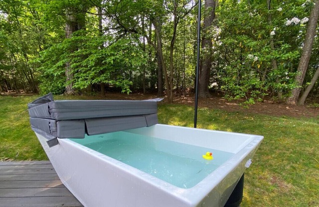 Salwater Hot Tub and Majestic Mountain Views