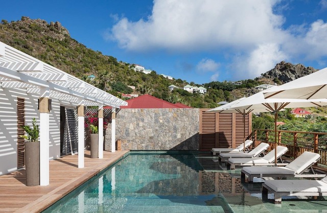 Sam Lion (1/3 Rooms) Luxury villa