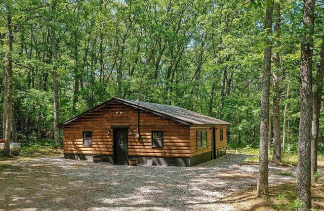 Sand Lake Log Cabin- Pets OK, Starlink Wifi, Smart TV, AC, Grill, Firepit