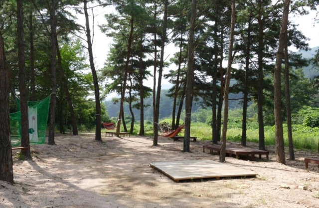 Sangju Yeoyuroun Hwangtojip Pension