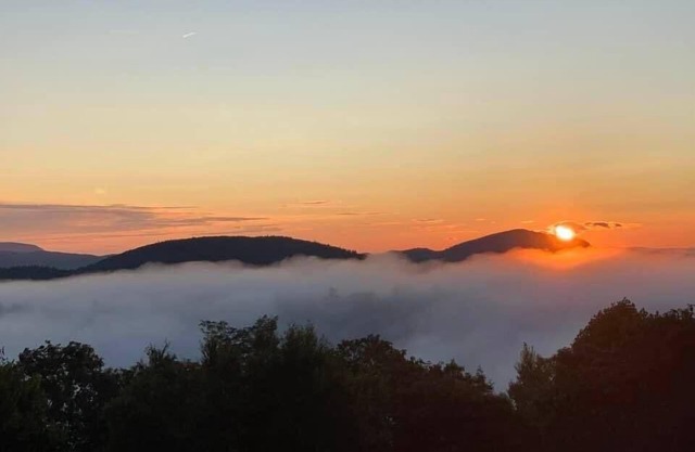 Sassafras Bungalow | Manor House | Mountain Views