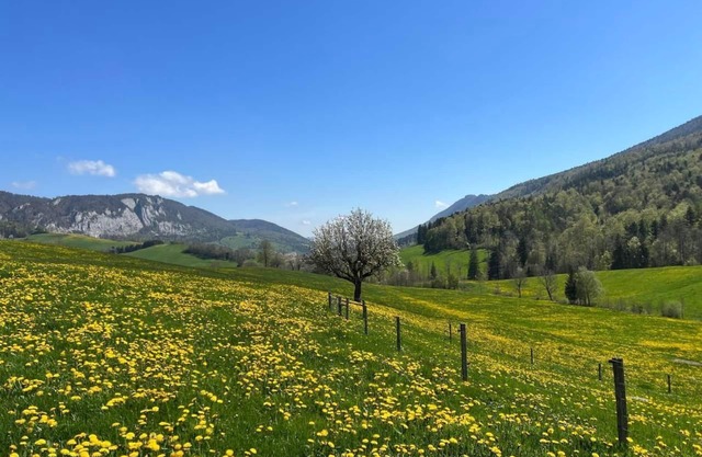 Schafmatthof 1 upper floor