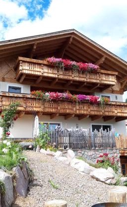 Schwabl auf der Ebene