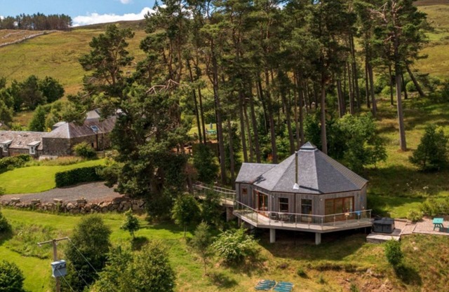Scots Pine Treehouse - a treehouse that sleeps 2 guests in 0 bedrooms