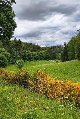 Seßles Waldhäusschen Dietzhausen