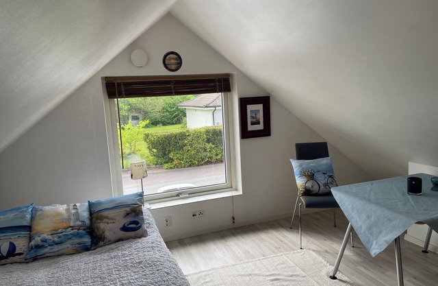 Sea inspired suit for you and your pet