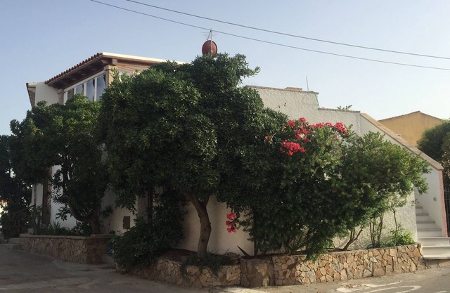 Sea view apartment with patio 250 meters from the sea ideal for families or 2 couples