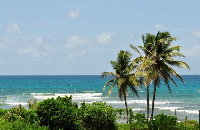 sea view studio, anse des rochers, saint françois, Guadeloupe