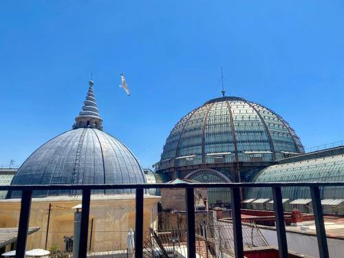 Seagulls House in the Heart of Naples Via Toledo