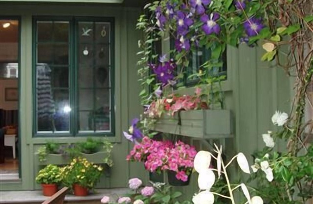 Seaside Garden: 2 min walk to the Bay, peaceful, private, bird haven.