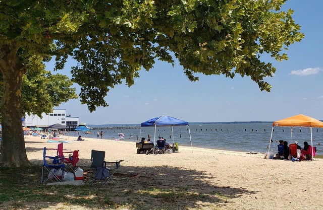 Seaside Serenity: Charming Cottage Steps from Sandy Beach & Downtown Delights