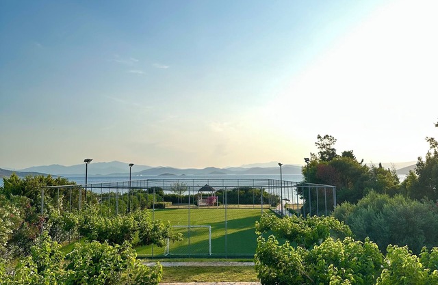 Seaside Villa with Private Football Pitch