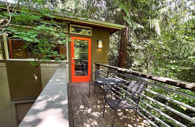 Seattle Urban Tree House