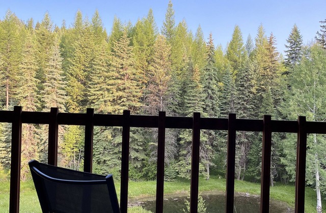 Secluded 3 bedroom lodge tucked in the heart of the Kootenai National Forest