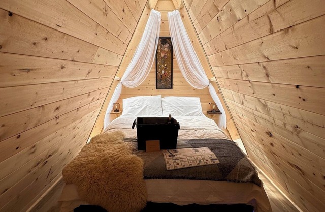 Secluded and luxurious Viking-themed, off-grid cabin in the heart of Wells Gray.