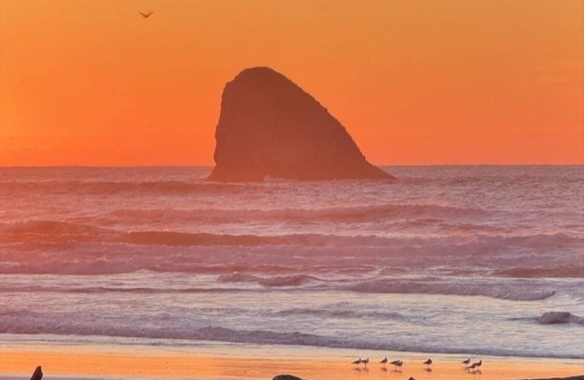 Secluded Beach Getaway at Heron's Hearth Beach Bungalow. Pet Friendly!