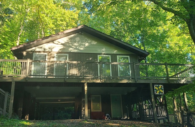 Secluded Bearcat Cabin with mountain view