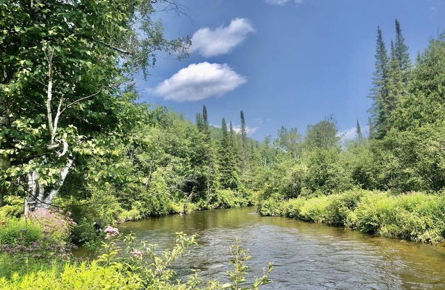 Secluded Boardman River home with a HOT TUB, Smart TV, Kayaks. Dogs ok