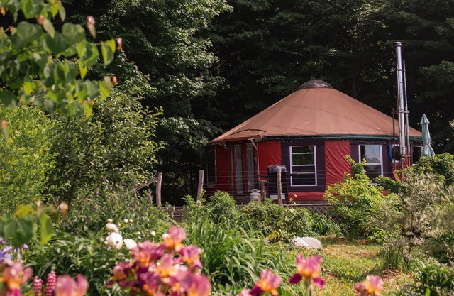 Secluded, Clean Yurt, Retreat on a Forest Farm