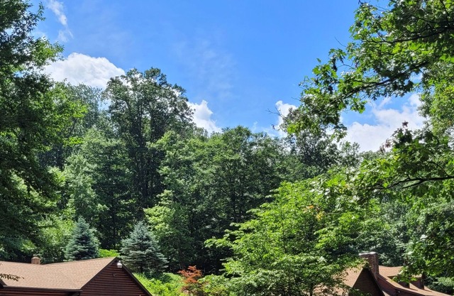 Secluded Log home in a very peaceful setting.