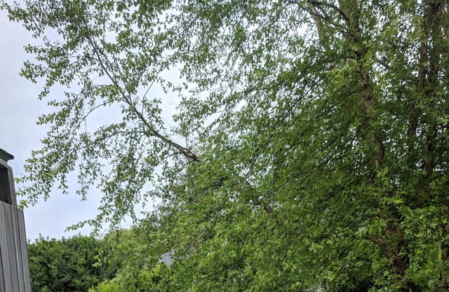 Secluded Montauk Property