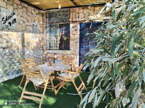 Seleucia DaR Umm Qais