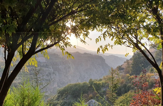 SEQUOIA GUESTHOUSE (Private Chalet)