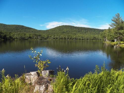 Serendipity Lake House