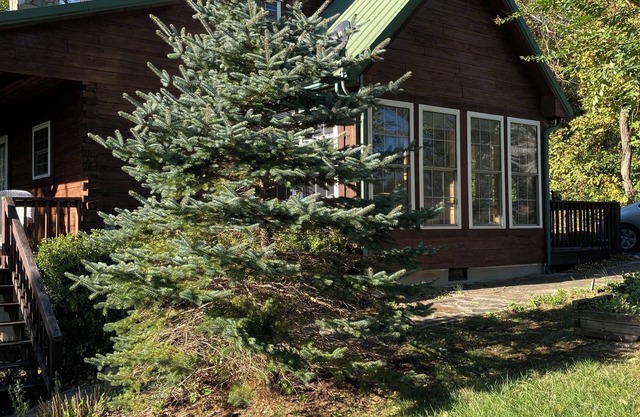 Serene home with scenic view near the Blue Ridge Parkway