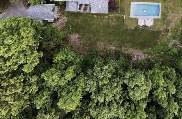 Serenity Cabin- a beautiful family friendly home