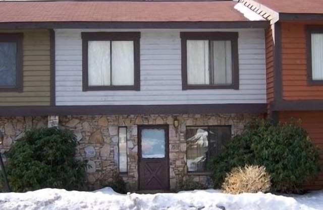 Seven Springs Townhouse with WiFi/NetFlix