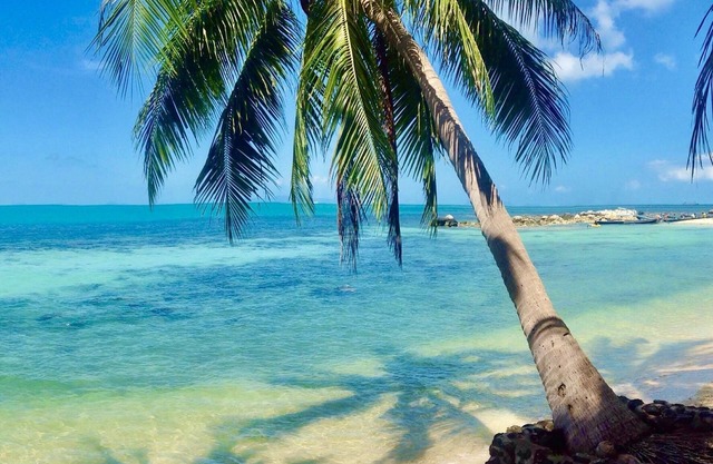 Sibaja Palms Sunset Beach Apartment