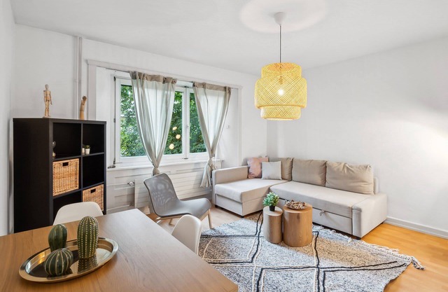 Simple Zurich APT Near Public Transport