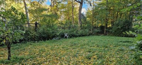 Simply GENIUS - Camping