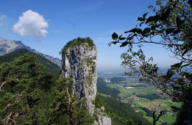 Single room with shower, WC, non-smoking - Hotel Apartment Camping Das Au-Gut