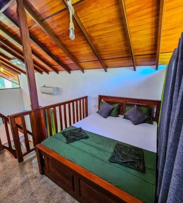 Sinharaja Rainforest Vibe
