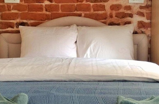 Sirma's Studio - Prime Center Artsy Cozy Apartment, Quiet, W/D, WiFi