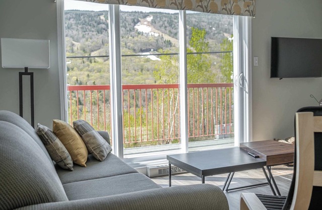 Ski Condo - Mont du Midi 56