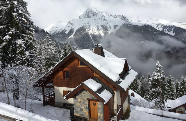 SKI IN/OUT, 20M FROM SKI LIFT,6 BED,4 BATH, SAUNA, FREE FIBRE WIFI,MOUNTAIN VIEW