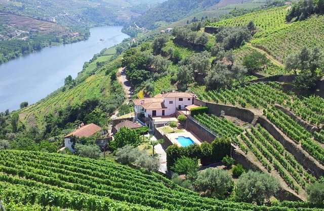 Small farm in Douro with private pool