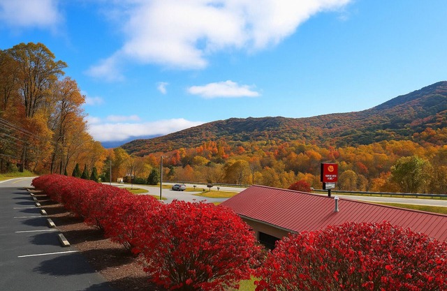 Smoketree Lodge