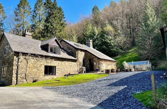 Snowdonia woodland retreat - stunning views & private woodland