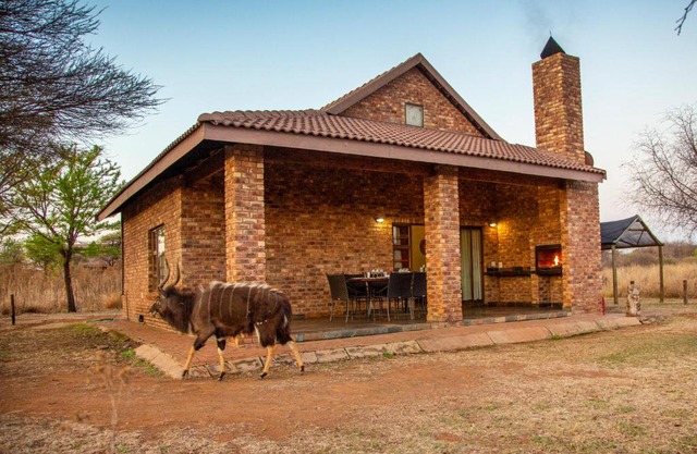 Sondela Nature Reserve & Spa Chalets