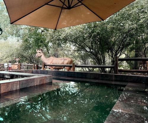 Sounds of Kruger Safari Villa