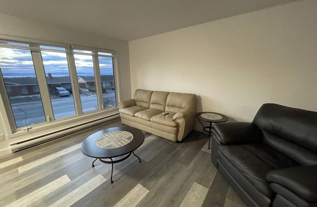 Spacieux appartement au centre de RDL