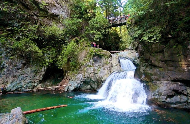 Spacious 1BR Suite + Sofa Bed Near Capilano Bridge & Trails