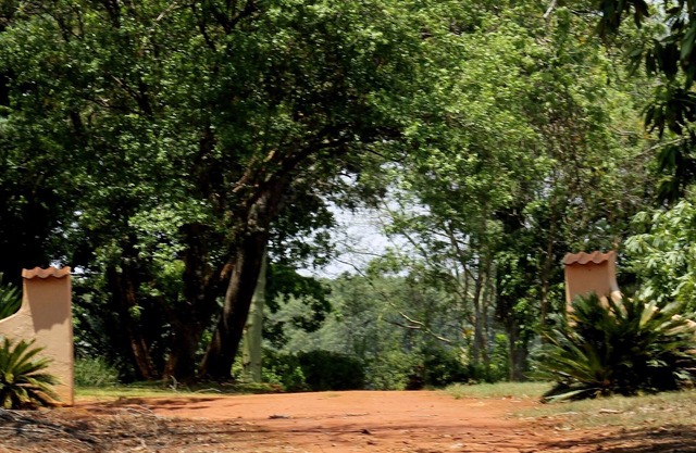 Spacious 4 bedroom, 3.5 bathroom house on a working avocado farm.