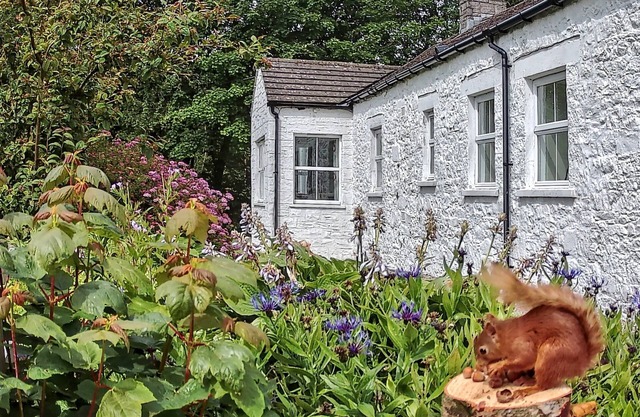 Spacious cottage on an estate where peace, privacy, fun and exploration abound