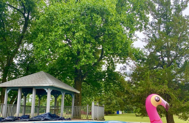 Spacious, farmhouse, with pool, 10 min from Salisbury and 35 min from beaches