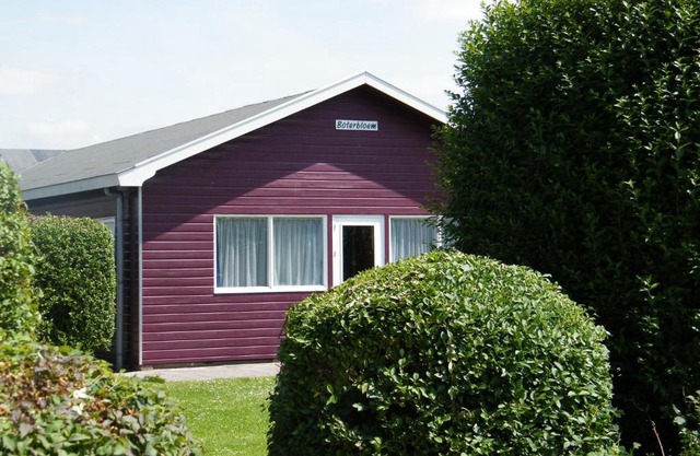 Spacious holiday home at 1 km from the North Sea beach